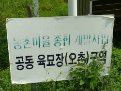 용문 오촌리 '친환경 산채체험공간' 완전 폐허
