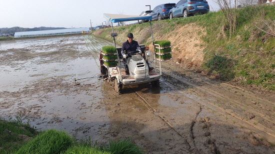 ����, ���� ù �𳻱� �ǽá�ǳ�� ��� ���